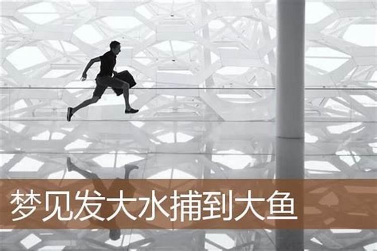 生肖猴1980年2025年运势如何 生肖猴1980年2025年全年运势