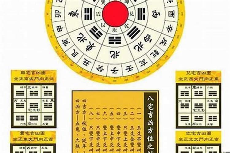 贵州冬至吃什么食物