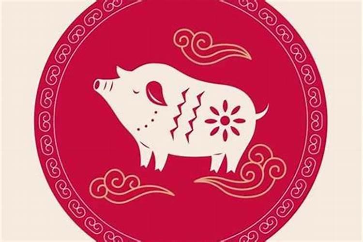 71年属猪未来三年运势2024年到2026年