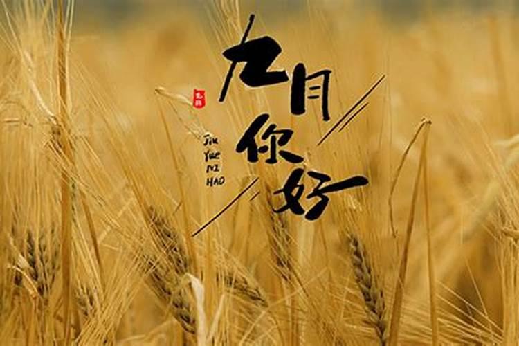 66年九月初九亥时女的是属于什么星座