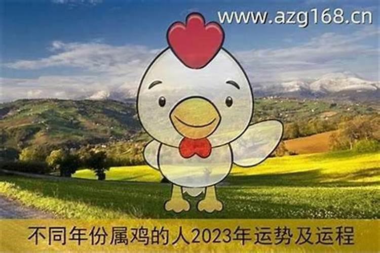 善财童子属于什么级别