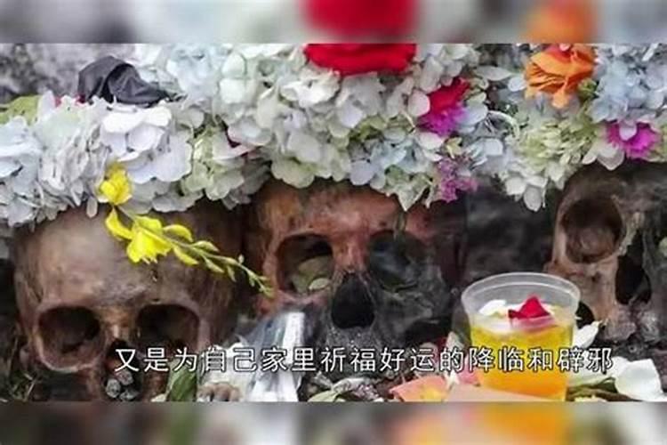 属兔年龄表 今年运气如何？