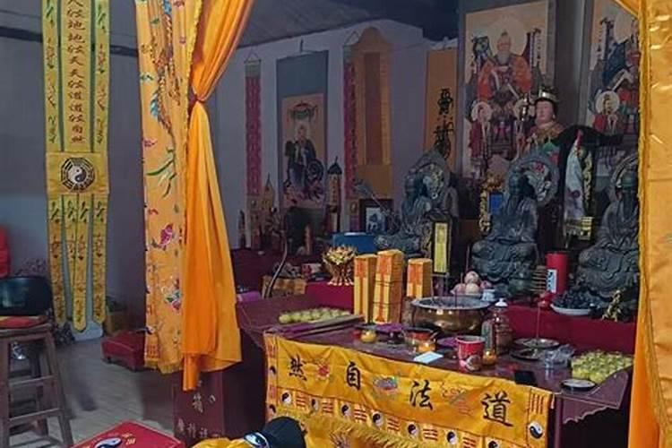 属兔的人今年带老鼠的运气会怎么样？