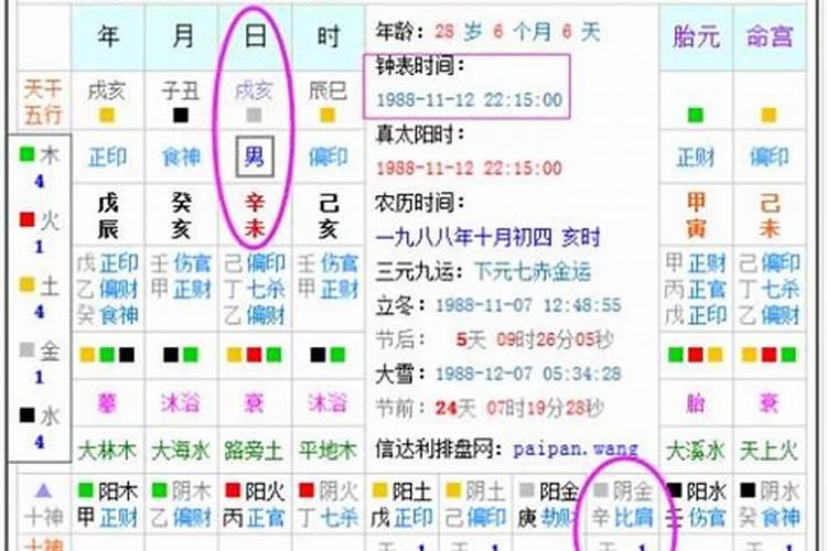 属虎和属马的合不合