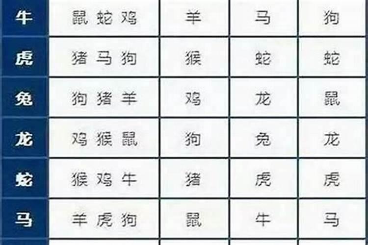 男属鼠找什么属相较好 男属鼠和什么属相较配