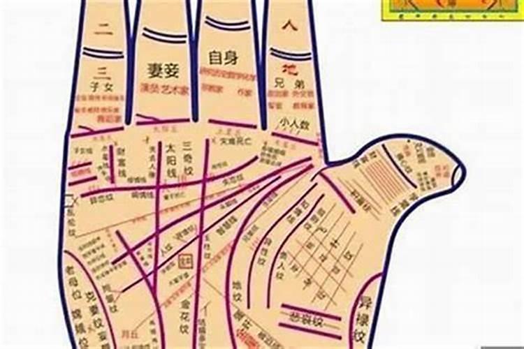 1987年农历12月14日属什么什么星座什么血型