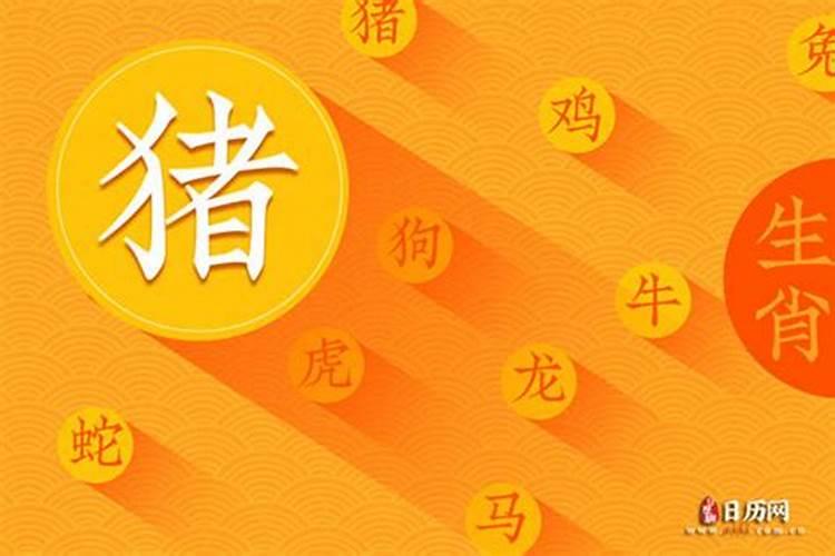 95年的猪2025年运势