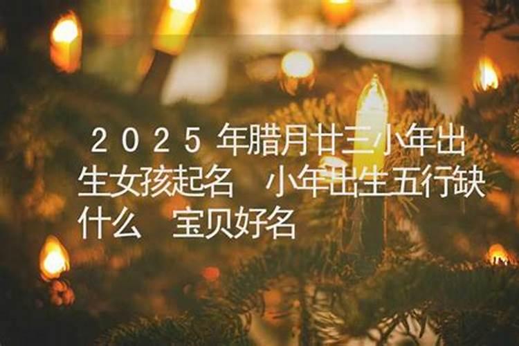 2023年腊月二十出生刘姓女孩名字叫什么