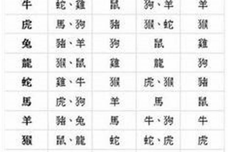 梦见别人给我送一个花圈