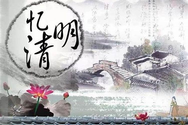 1975属兔50岁以后运气如何