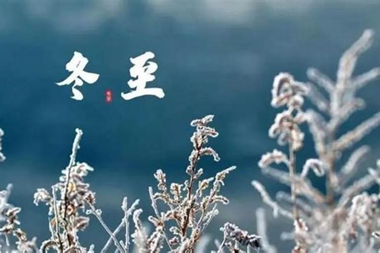 猴与羊相配的婚姻如何