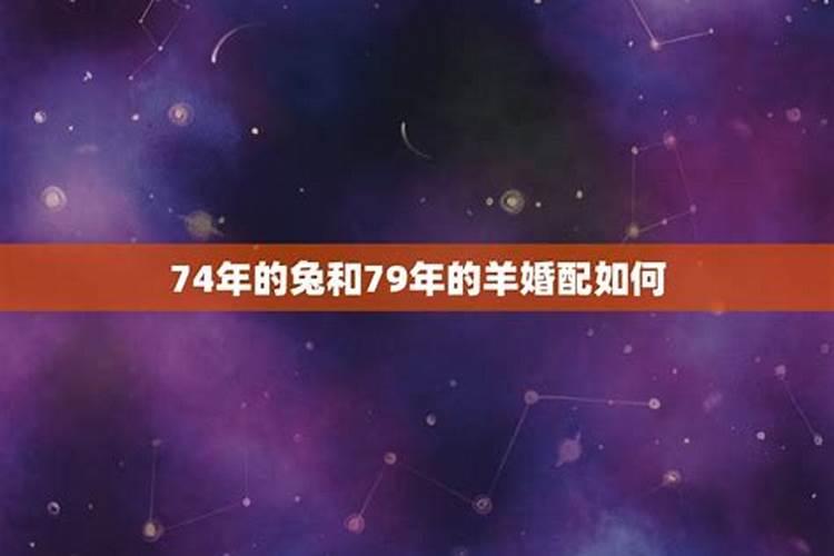 79年羊男和83年猪女般配吗？