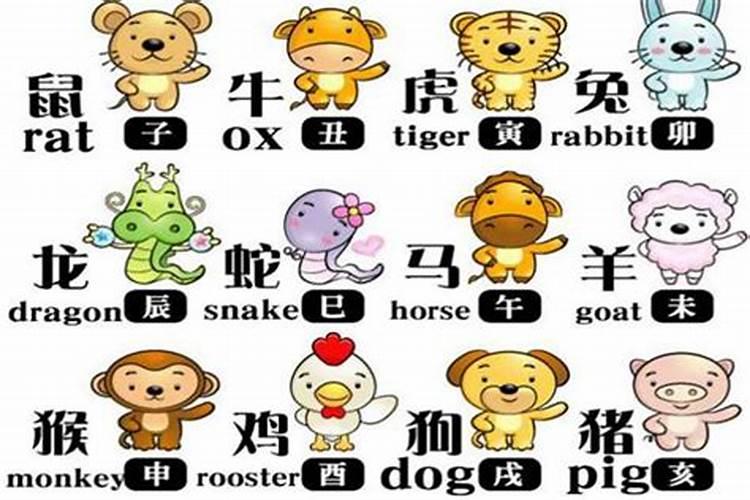属牛人什么年龄转运最旺