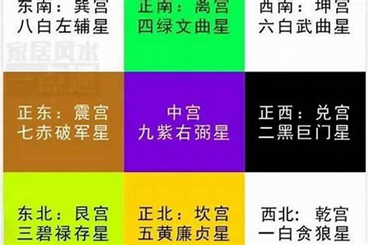 2025年猪女全年运程