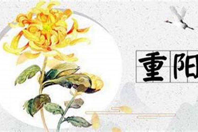 姓名配对姻缘测试98%,姓名测试姻缘