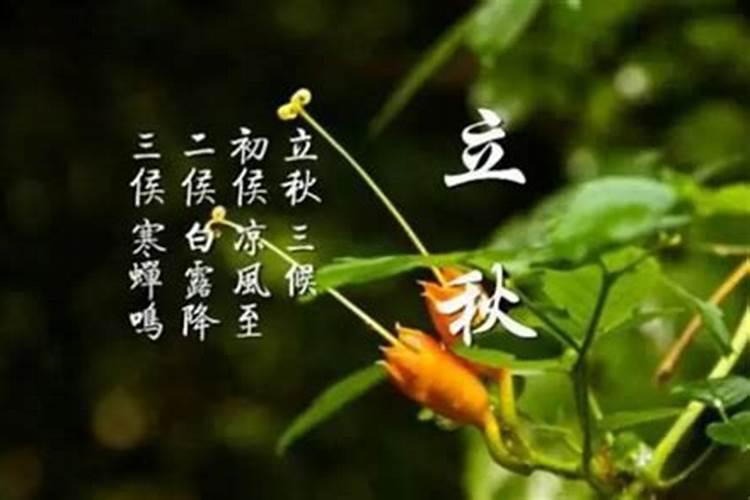 立秋习俗 立秋有哪些习俗