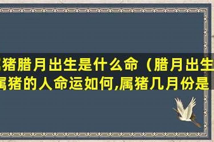 中国农民丰收节是哪一天