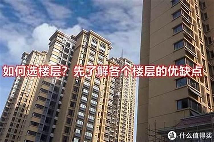 84年2025年属鼠人的全年运势