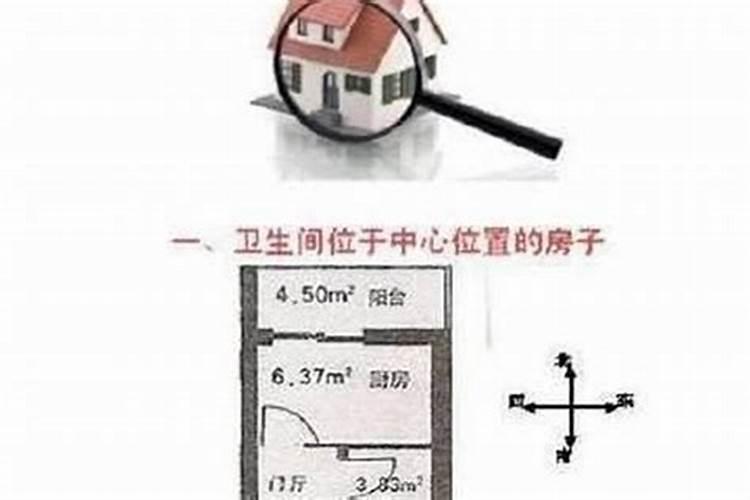 属马人2025年全年运势运程