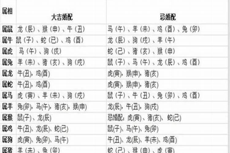 生肖和五行哪个婚配准