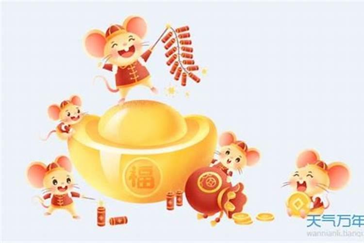2025年十二生肖每月运势详解