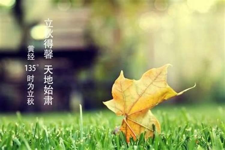 2025属猪冲太岁怎么化解 2025年属猪佩戴什么可以化解犯太岁