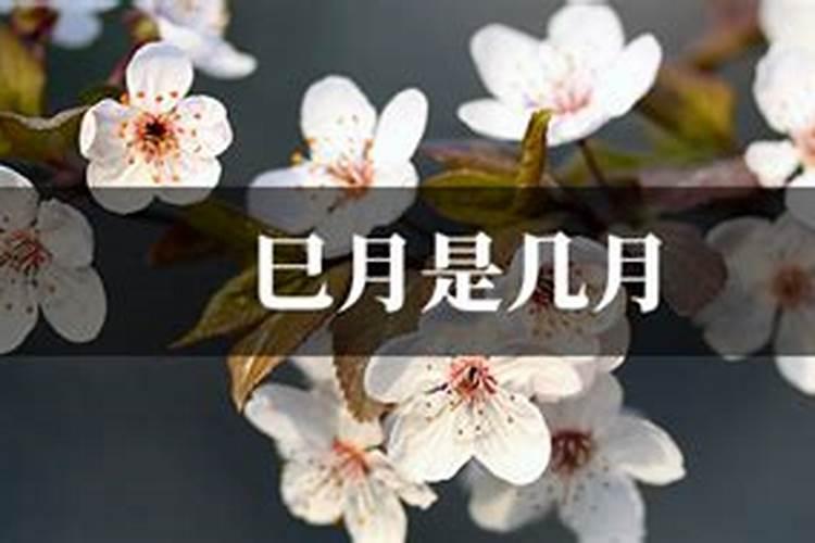 清明如何网上祭扫