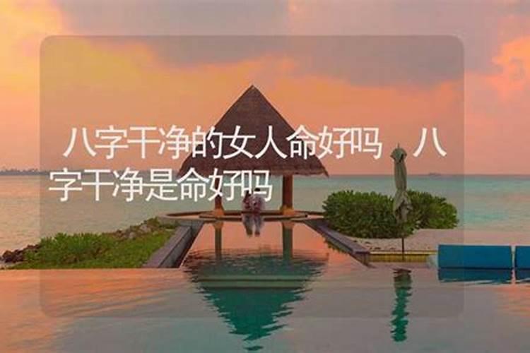 关于算命。命很干净到底是什么意思？
