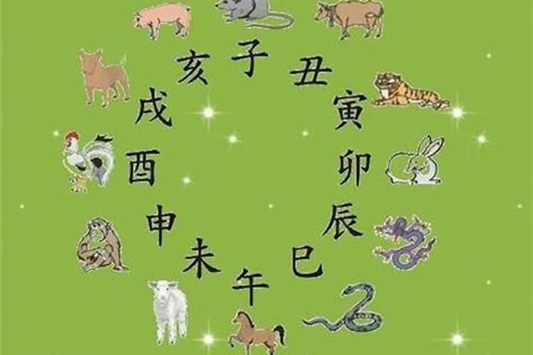 生肖属性的婚配可信吗,属相婚配可以相信吗