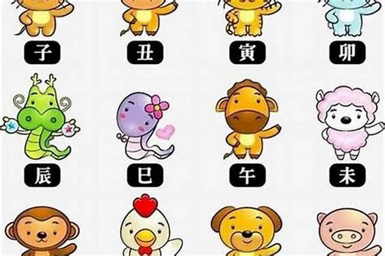 八字中等偏上啥意思