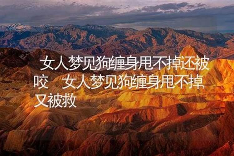 重阳节的来历和风俗
