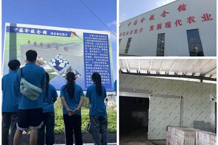 鸡跟羊属相合不合