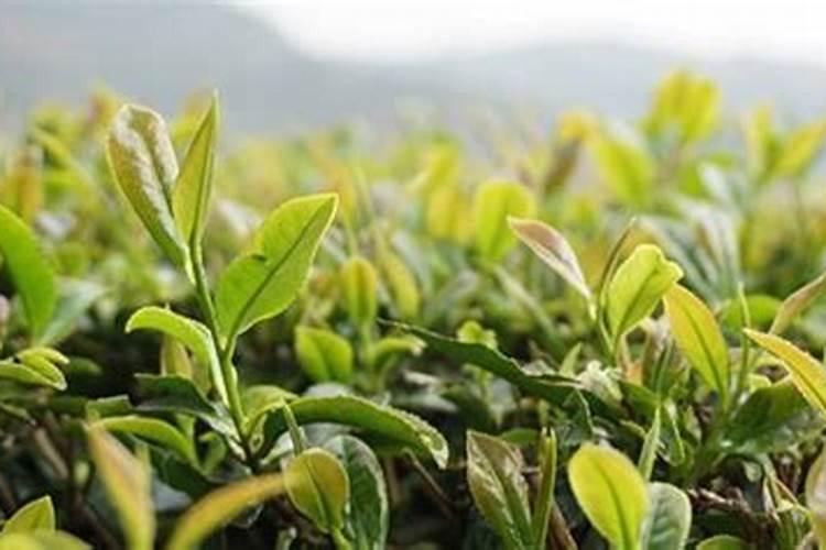 中元节,徐霞客为什么会在云南两地看到不一样的情景？