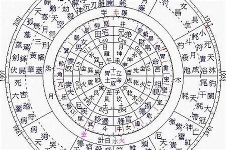 如何学习批八字