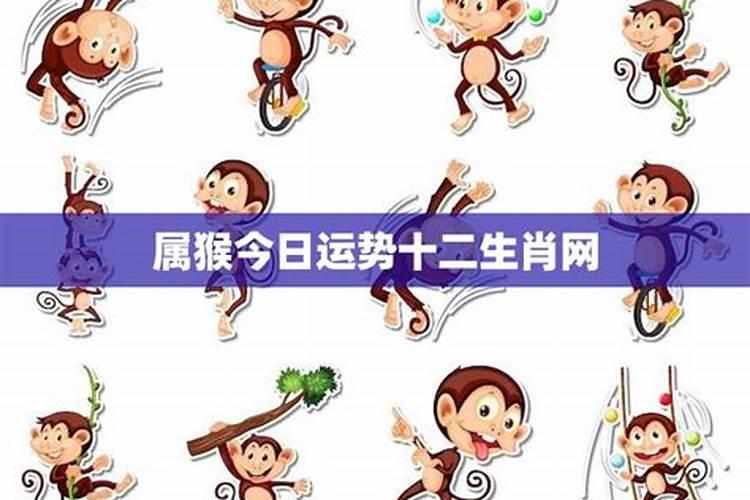 生肖猴1980年2025年运势如何 生肖猴1980年2025年全年运势