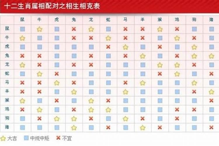 1997属牛2025年运势运程如何
