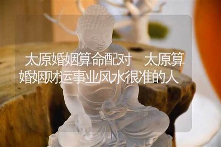 1982年狗2025年感情运势