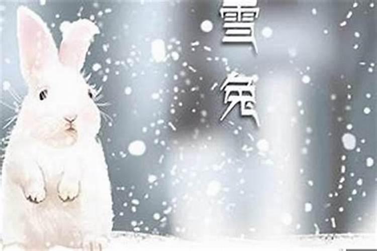 鼠年犯太岁的四个属相