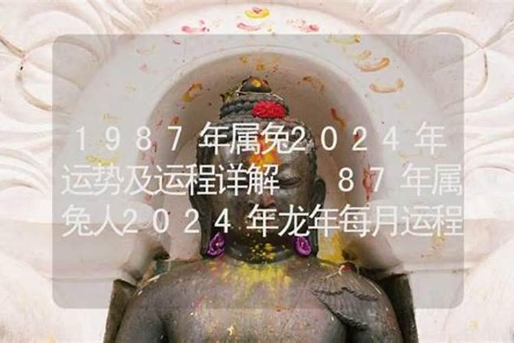 1987年属兔2025年的运势及运程如何