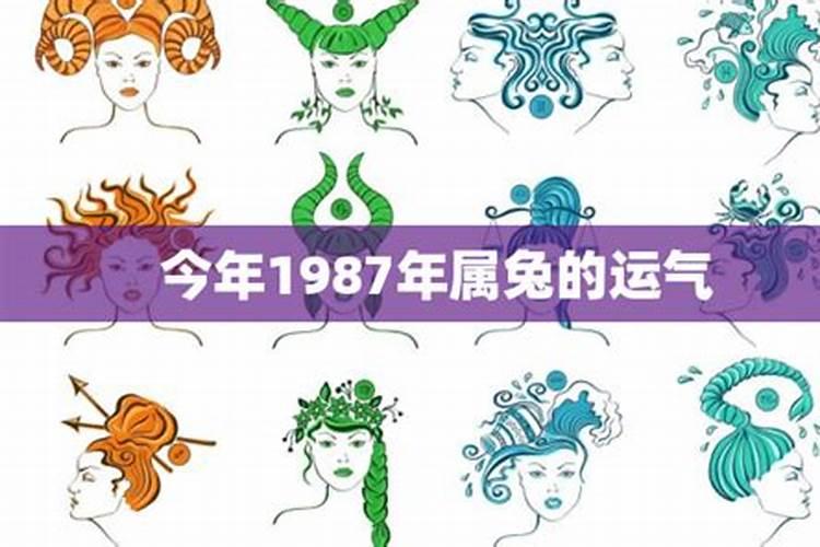 1987年冬月出生的兔运势 87年出生人的命运如何？