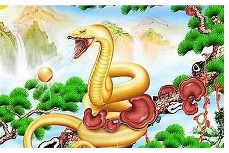 男虎女蛇的生辰八字如何？