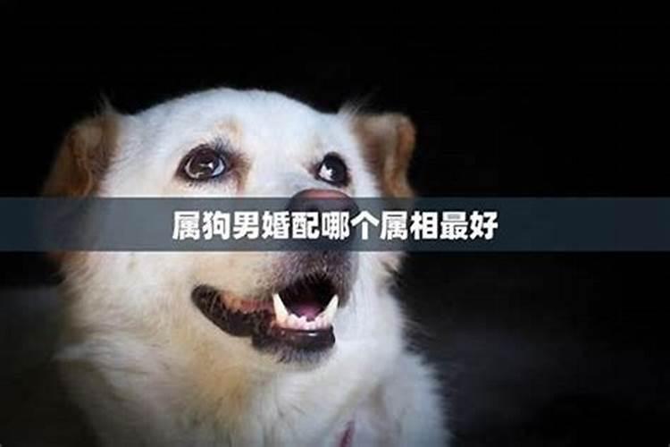 堕胎的果报很不爽,这个在佛经中有提到过,但是为什么还是有那么多人堕胎...