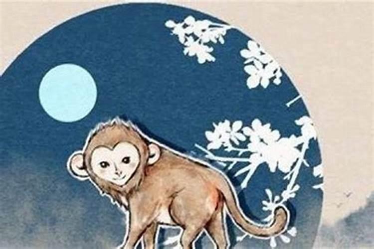 属猴人的命运和财运