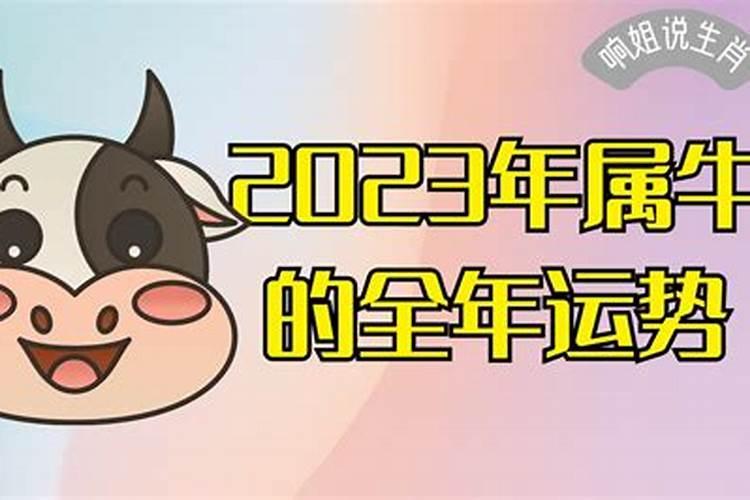 2025年全球有多少国家