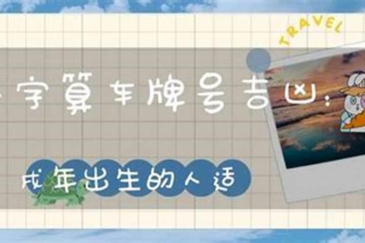 如何选个好车牌,如何知道自己生辰八字五行喜忌和命理？