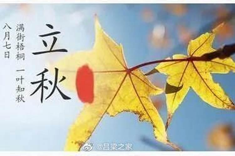 立秋的含义 立秋是什么意思