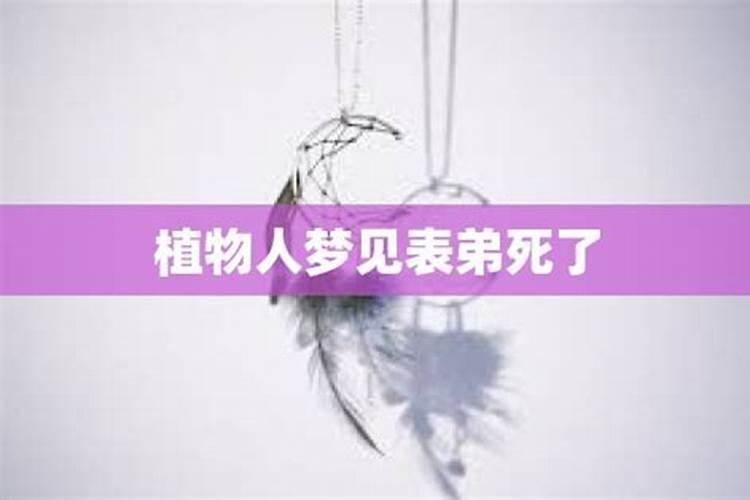 78年的马2025年运势