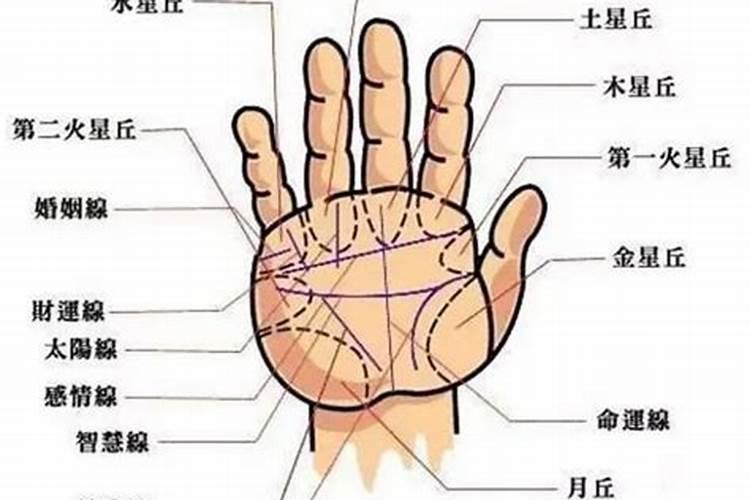 小年出生哪些生肖最好 小年夜出生的人好不好