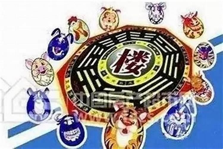 各属相适合住什么方位的房间,十二生肖最旺适合居住楼层