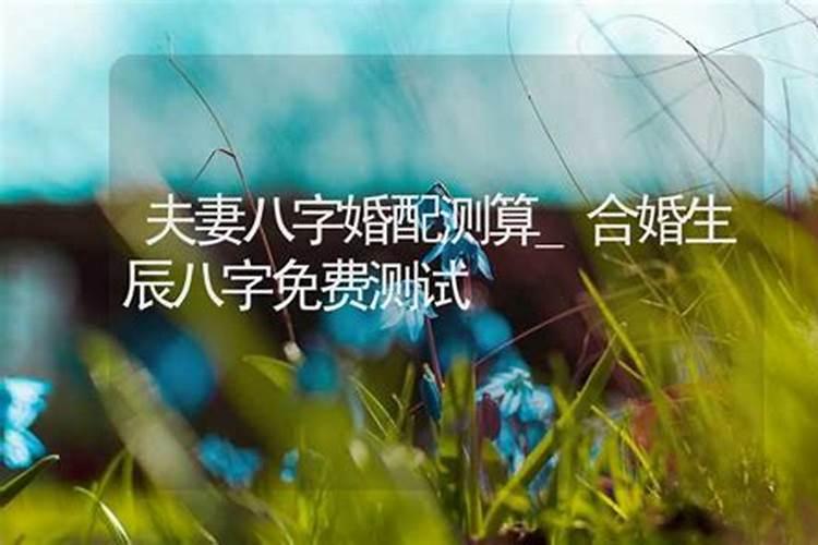 婚配指数多少分好？